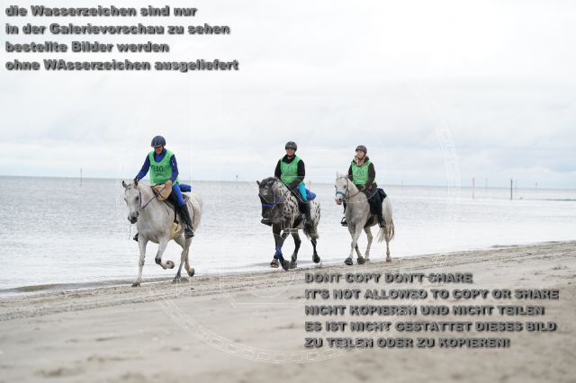 s_K3F04737.JPG